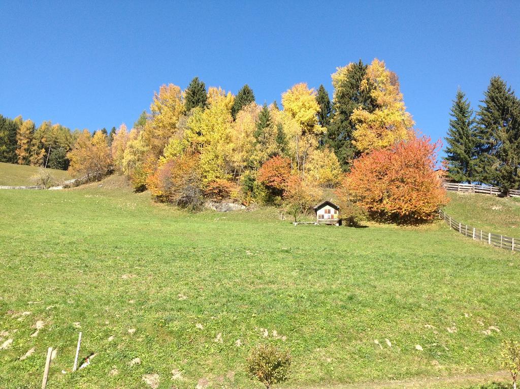 Berggasthaus Agritur Moserhof ไบรยัส ภายนอก รูปภาพ